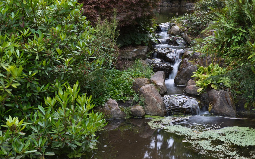 Lower Mountainside Waterfall at Seattle's Kubota Garden.